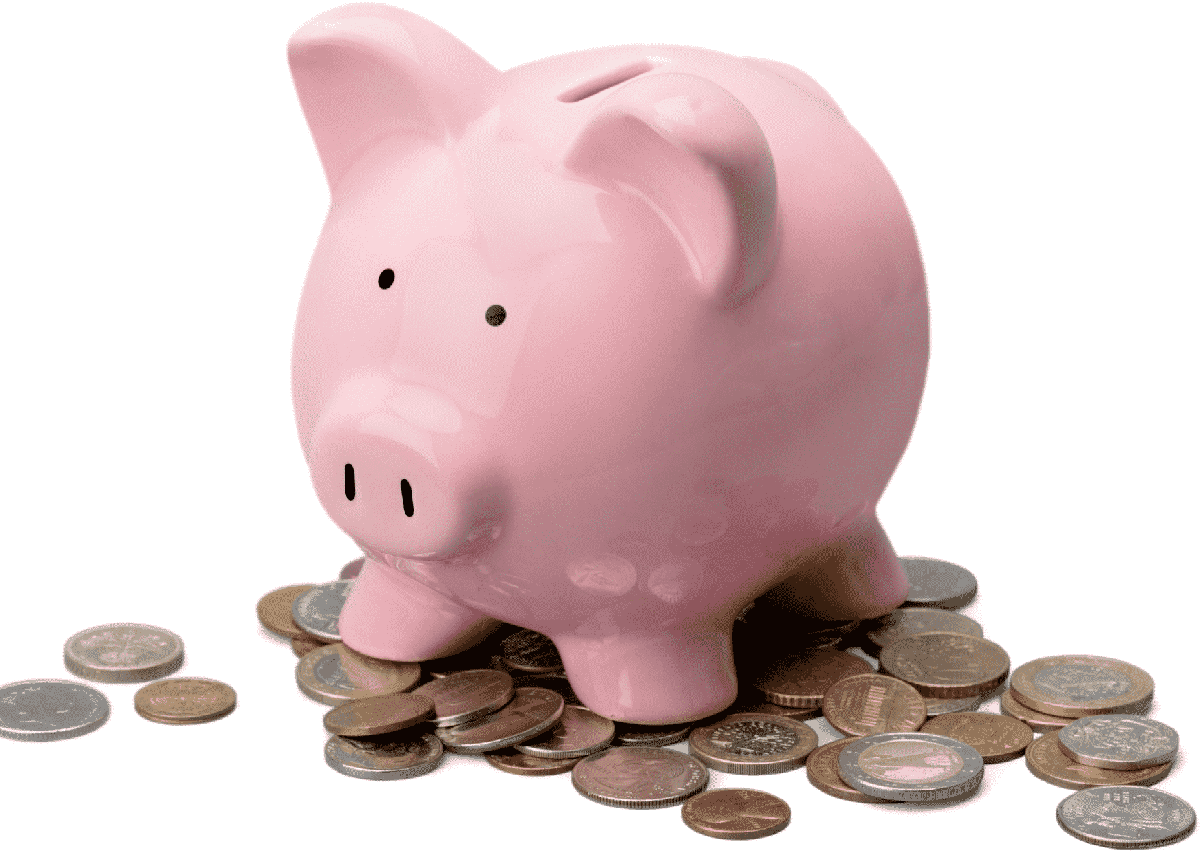 Image of Business Support Piggy Bank